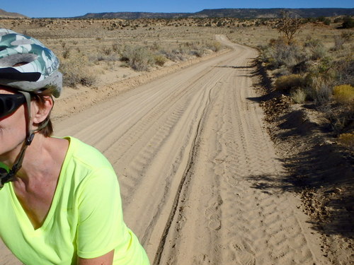 GDMBR: Wheel Track and Boot Prints - A good picture of our back trail where we had to push the loaded tandem through soft sand.